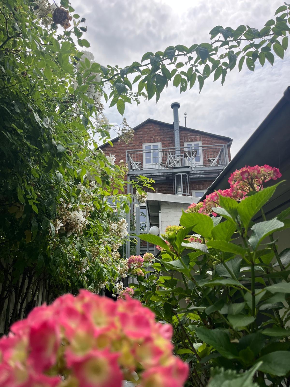 Blick durch Hortensien und Rosen auf das Hotelgebäude